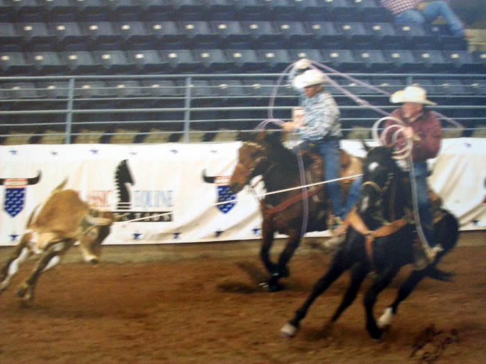 Custom Equine Design